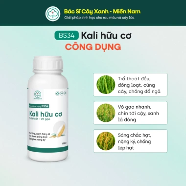 BS34 Kali Hữu Cơ - Tăng Đông Lúa, Trổ Thoát Nặng Hạt Giai Đoạn Làm Đòng | Bác Sĩ Cây Xanh 198k 2 BS34 Kali Hữu Cơ - Tăng Đông Lúa, Trổ Thoát Nặng Hạt Giai Đoạn Làm Đòng | Bác Sĩ Cây Xanh 198k 2