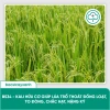 BS34 Kali Hữu Cơ - Tăng Đông Lúa, Trổ Thoát Nặng Hạt Giai Đoạn Làm Đòng | Bác Sĩ Cây Xanh 198k 3