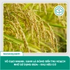 BS34 Kali Hữu Cơ - Tăng Đông Lúa, Trổ Thoát Nặng Hạt Giai Đoạn Làm Đòng | Bác Sĩ Cây Xanh 198k 5
