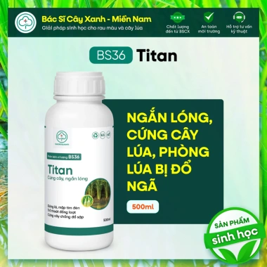 BS36 Titan Cứng Cây Ngắn Lóng Dày Lá - Chống Đổ Ngã, Không Nghẹn Đòng 205.000 BS36 Titan Cứng Cây Ngắn Lóng Dày Lá - Chống Đổ Ngã, Không Nghẹn Đòng 205.000