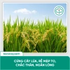 BS36 Titan Cứng Cây Ngắn Lóng Dày Lá - Chống Đổ Ngã, Không Nghẹn Đòng 205.000 6