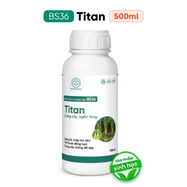 BS36 Titan Cứng Cây Ngắn Lóng Dày Lá - Chống Đổ Ngã, Không Nghẹn Đòng 205.000 9 BS36 Titan Cứng Cây Ngắn Lóng Dày Lá - Chống Đổ Ngã, Không Nghẹn Đòng 205.000 9