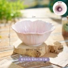 Bumi Homedecor Bộ Bát Đĩa Trà Gốm Sứ Hình Hoa Tím – Bàn Ăn & Ấm Cúng, 85.500₫ 10
