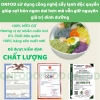Bún gạo lứt rau củ ngũ sắc healthy - 39.000đ ăn sạch cho tiểu đường gym yoga mẹ bầu 9