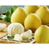 Bưởi Diễn 30 năm tuổi, tép to ngon ngọt, phù hợp thắp hương ngày Tết - Giá ưu đãi 25.350 VND 4
