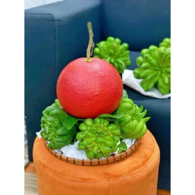 Bưởi đỏ Tiến Vua chưng Tết - Giao nhanh Sài Gòn, Giá ưu đãi 360.000đ (Giá gốc 442.800đ) 5