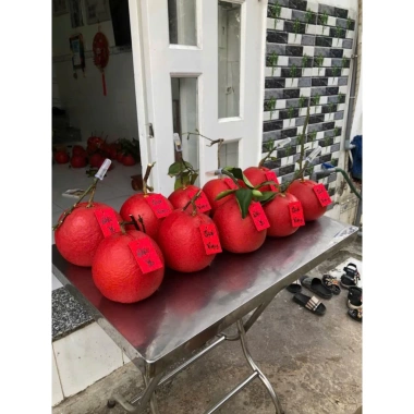 Bưởi đỏ Tiến Vua chưng Tết - Giao nhanh Sài Gòn, Giá ưu đãi 360.000đ (Giá gốc 442.800đ) 7