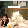 Búp Bê Ngỗng Thú Nhồi Bông Siêu Đáng Yêu Đồ Chơi Trẻ Em Quà Tặng Sinh Nhật Giá 56.280₫ 8