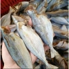 Cá Bạc Má Phơi Khô 1kg Bình Định Nguyên Con Làm Sach Đầu - Hàng Loại 1 Giá 130.000₫