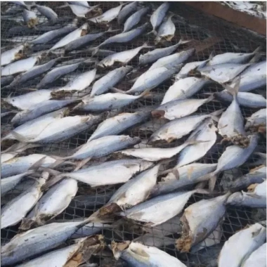 Cá Bạc Má Phơi Khô 1kg Bình Định Nguyên Con Làm Sach Đầu - Hàng Loại 1 Giá 130.000₫ 2