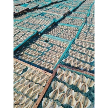 Cá chỉ vàng 500g tươi ngon, giảm giá 119.000đ, giao nhanh, không chất bảo quản