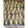 Cá chỉ vàng dày thịt loại 1 ngon 1kg - Giá chỉ 220.000đ, giảm so với 286.000đ 2