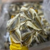 Cá chỉ vàng nhập Nhật loại đặc biệt 500gr - Giá ưu đãi 168k, tươi ngon, giàu dinh dưỡng 4