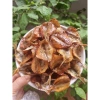Cá chỉ vàng Vân Đồn xuất Nhật loại 1 rời mỏng nhỏ, sạch xương, ăn mềm ngọt - 260k 6
