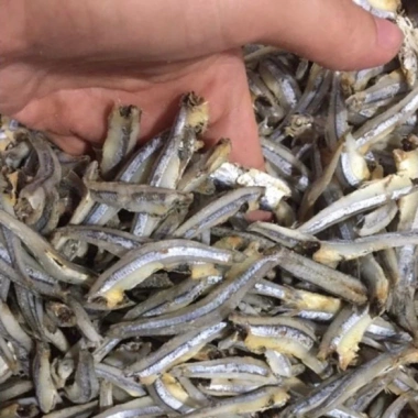 Cá Cơm & Cá Chi Phơi Khô Loại 1 Không Nát - Giá 78,650 VND, Giảm còn 65,000 VND 2