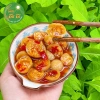 Cà Dầm Tương Thanh Tú 500g - Đặc Sản Xứ Huế Giòn Thơm, Đưa Vị, Giá chỉ 69.600₫ 2