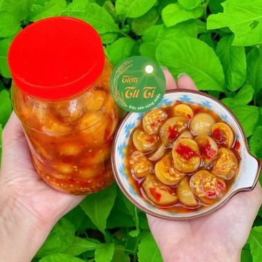 Cà Dầm Tương Thanh Tú 500g - Đặc Sản Xứ Huế Giòn Thơm, Đưa Vị, Giá chỉ 69.600₫ 3 Cà Dầm Tương Thanh Tú 500g - Đặc Sản Xứ Huế Giòn Thơm, Đưa Vị, Giá chỉ 69.600₫ 3