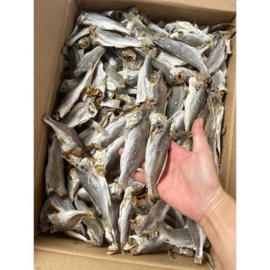Cá đù khô 1kg không đầu, dày ngon - Phượng Giao Thuỷ, giá chỉ 85k