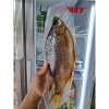 Cá khô Astrakhan Nga loại 1 - Nhiều thịt, con lớn 250-300g, giá ưu đãi 175.000₫ 5