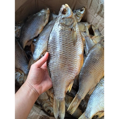 Cá khô Astrakhan Nga loại 1 - Nhiều thịt, con lớn 250-300g, giá ưu đãi 175.000₫