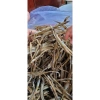 Cá Lãi Khô Size To Có Trứng 500gr Giá Ưu Đãi 155.000 VNĐ Thơm Ngon Dinh Dưỡng 2