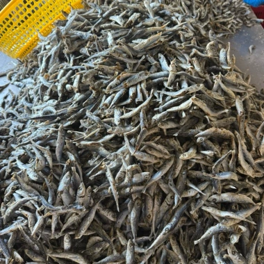 Cá Nục Hấp Khô Có Đầu - Thịt Đậm Đà, Dinh Dưỡng, Giá Chỉ 40.000₫ (Giảm Giá Từ 51.600₫)