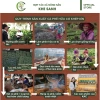 Cà phê Arabica Specialty Khe Sanh OCOP 5 sao - Rang xay nguyên chất, giá ưu đãi 89.000₫ 4