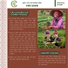 Cà phê Arabica Specialty Khe Sanh OCOP 5 sao - Rang xay nguyên chất, giá ưu đãi 89.000₫ 5
