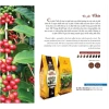 Cà phê Chồn rang xay 500g túi bột – Thơm ngon đậm vị, quà biếu thượng hạng, giảm giá 20% chỉ 297.000₫ 2