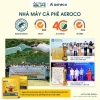 Cà Phê Cold Brew Aeroco 100% Arabica - Túi Lọc Nhật Bản Cao Cấp Giá 282.000 VND 9