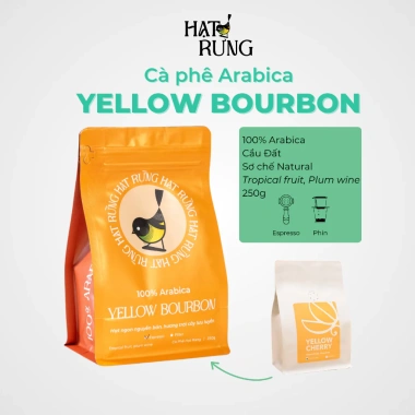 Cà phê đặc sản Arabica Yellow Cherry rang mộc 100% Married Beans 250g vừa espresso phin 250k