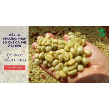 Cà phê hạt Arabica Cầu Đất 100% Coffee Tree 1kg - thơm nồng, vị nhẹ, gu tây, chỉ 460.750 VND 5