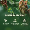 Cà phê hòa tan 3in1 L'amant Café Vị Nguyên Bản 10 gói - Đậm thơm, sánh quyện, giảm giá 45.000₫ 6