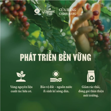 Cà phê hòa tan 3in1 L'amant Café Vị Nguyên Bản 10 gói - Đậm thơm, sánh quyện, giảm giá 45.000₫