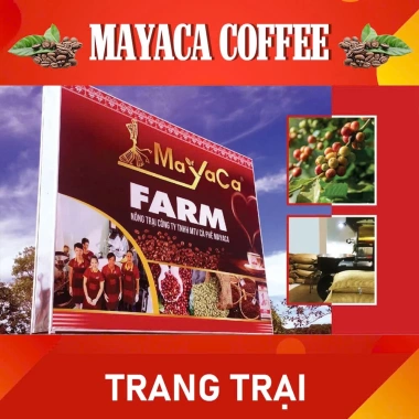 Cà phê Mayaca Blend M2 90% Robusta 10% Arabica – Rang xay, đậm đà, hậu ngọt – Giá 130.000₫