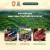 Cà Phê Muối Latte 3in1 15 gói 255g Robusta Arabica Thơm Béo Quà Tết Elys Coffee 38.999 VND 6