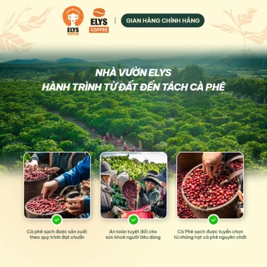 Cà Phê Muối Latte 3in1 15 gói 255g Robusta Arabica Thơm Béo Quà Tết Elys Coffee 38.999 VND 6