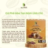 Cà phê nấm linh chi ĐăkNông hòa tan, thơm dễ uống, tỉnh táo - Giá 309.000₫ 3