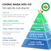 Cà phê nấm linh chi ĐăkNông hòa tan, thơm dễ uống, tỉnh táo - Giá 309.000₫ 4