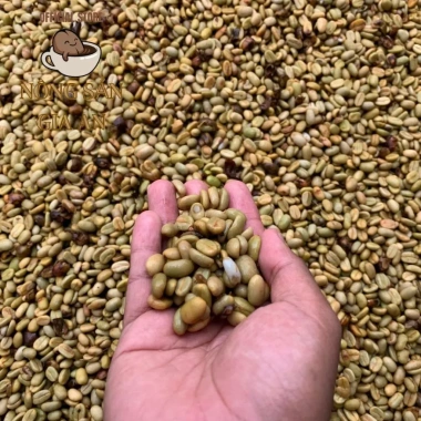 Cà Phê Nhân Sống Robusta S16 S18 5kg Nguyên Chất - Giảm Giá 350k tại GIA AN STORE 2 Cà Phê Nhân Sống Robusta S16 S18 5kg Nguyên Chất - Giảm Giá 350k tại GIA AN STORE 2