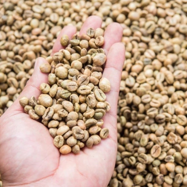 Cà Phê Nhân Sống Robusta S16 S18 5kg Nguyên Chất - Giảm Giá 350k tại GIA AN STORE