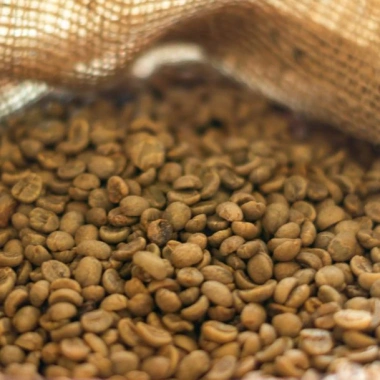Cà Phê Nhân Sống Robusta S16 S18 5kg Nguyên Chất - Giảm Giá 350k tại GIA AN STORE