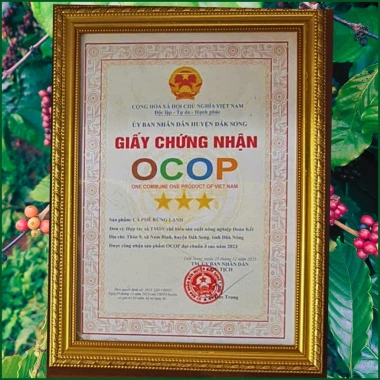 Cà Phê Rang Thủ Công GUCAFE Xay Thô Sẵn, Thanh Lọc Cơ Thể, Giảm Kí - 81k 4