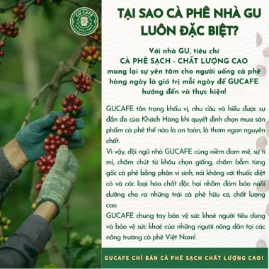 Cà Phê Rang Thủ Công GUCAFE Xay Thô Sẵn, Thanh Lọc Cơ Thể, Giảm Kí - 81k 7