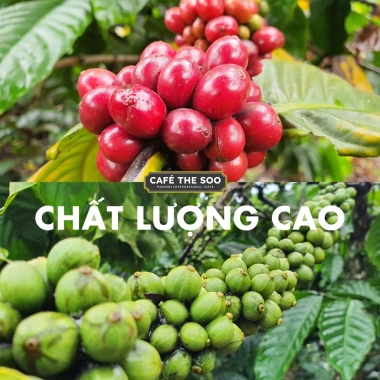 Cà phê rang xay Arabica Cầu Đất 100% nguyên chất - Thanh chua nhẹ, hậu vị tuyệt vời, chỉ 103k