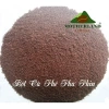 Cà phê rang xay Motherland 250g - Hương vị đậm đà, giảm 17% - Chỉ 79.900₫ 5