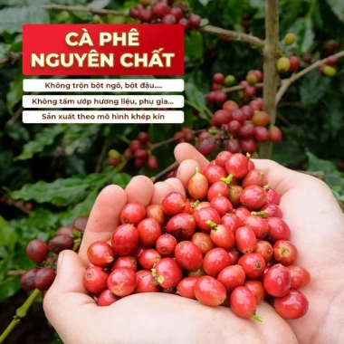 Cà phê rang xay nguyên chất FLEXIBLE Konnai – Arabica Sơn La & Robusta, hậu vị ngọt kéo dài, giá ưu đãi 100.000₫ 8