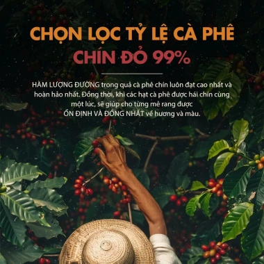 Cà phê rang xay Robusta 100% Vietnam Coffee 500gr cho phin túi - Giá ưu đãi 339k 5