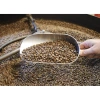 Cà phê Robusta Honey nguyên chất 1KG The Kaffeine - Thượng hạng, giảm giá 347k 5