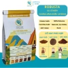 Cà phê Robusta Natural Dark 100% - Đắng mạnh, phù hợp pha phin, giảm 20% 2